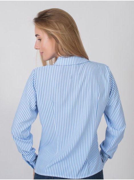Блуза в вертикальну смужку 2802