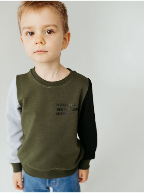Комбинированная кофта для мальчика с рукавами разного цвета 10009