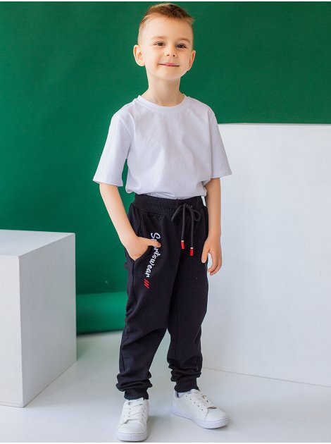 Детские спортивные брюки на мальчика и с вышивкой 10032