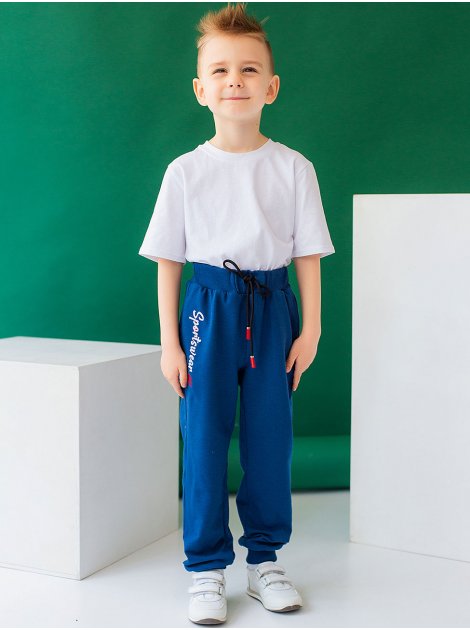 Дитячі спортивні брюки на хлопчика з вишивкою 10032
