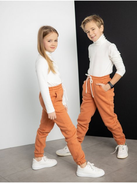 Дитячі спортивні штани на флісі 10105