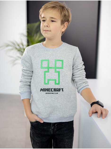 Детский свитшот с принтом MINECRAFT 10108